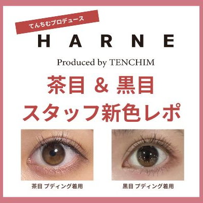 【HARNE（ハルネ）プディングレポ♡】てんちむさんプロデュースの吸い込まれるようなうるちゅるブラウン